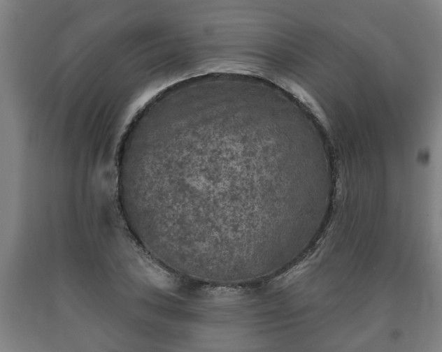 X0000090731027200707271359