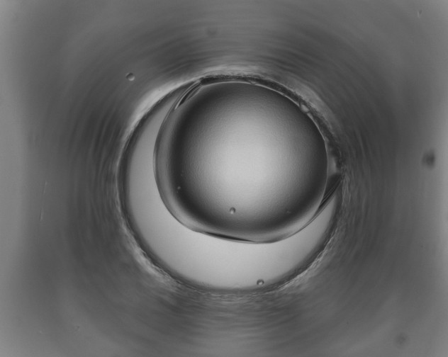 X0000090731030200707271359