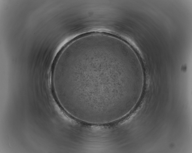 X0000090731032200707271359
