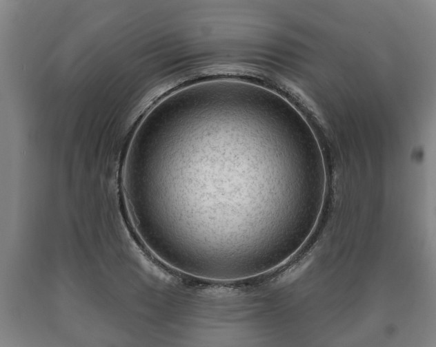 X0000090731033200707271359