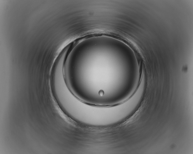 X0000090731034200707271359