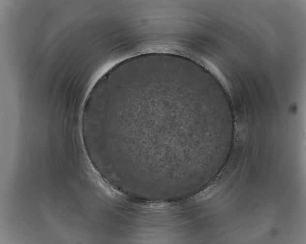 X0000090731035200707271359
