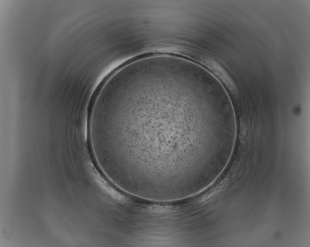X0000090731036200707271359
