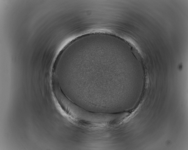 X0000090731038200707271359
