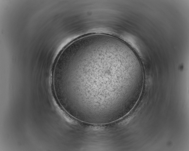 X0000090731040200707271359