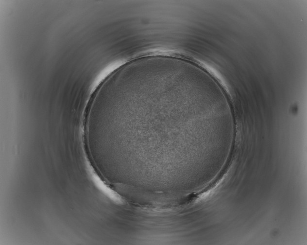 X0000090731042200707271359