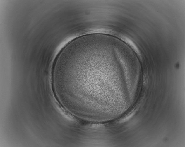 X0000090731043200707271359
