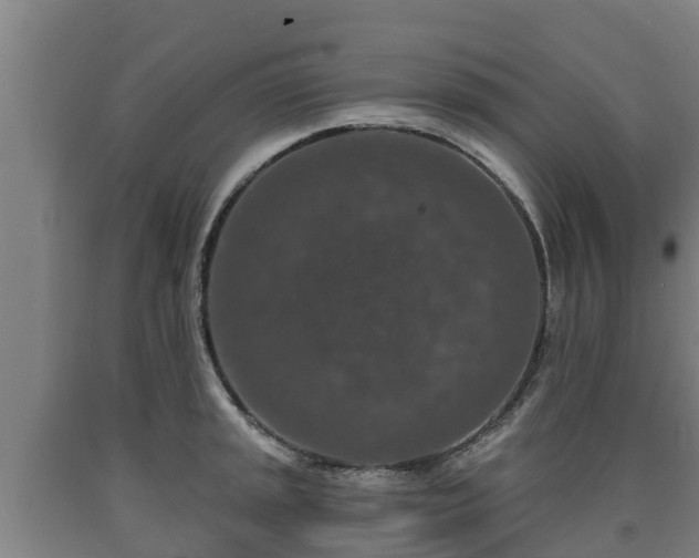 X0000090731045200707271359