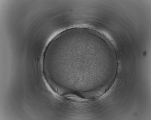 X0000090731046200707271359