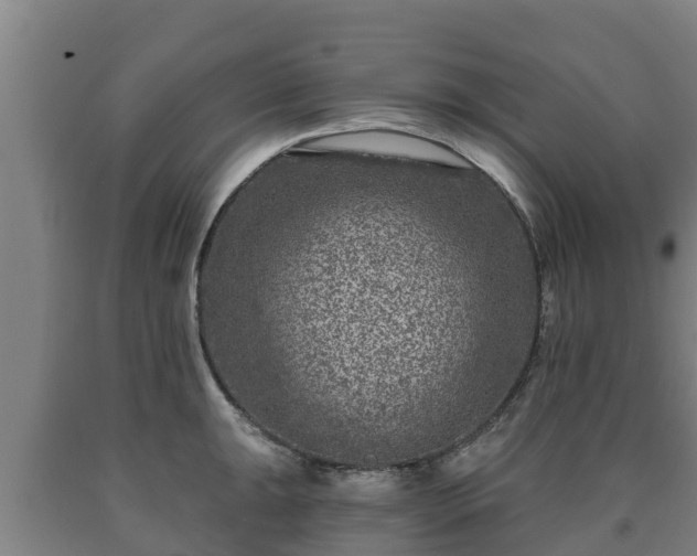 X0000090731047200707271359