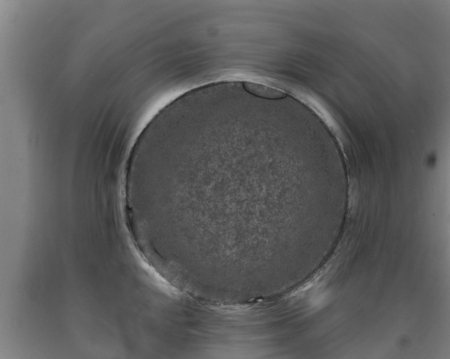 X0000090731048200707271359