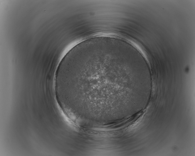 X0000090731050200707271359