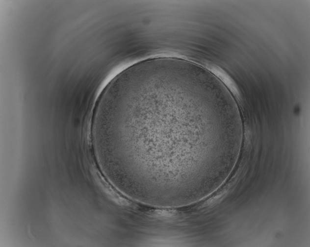 X0000090731052200707271359