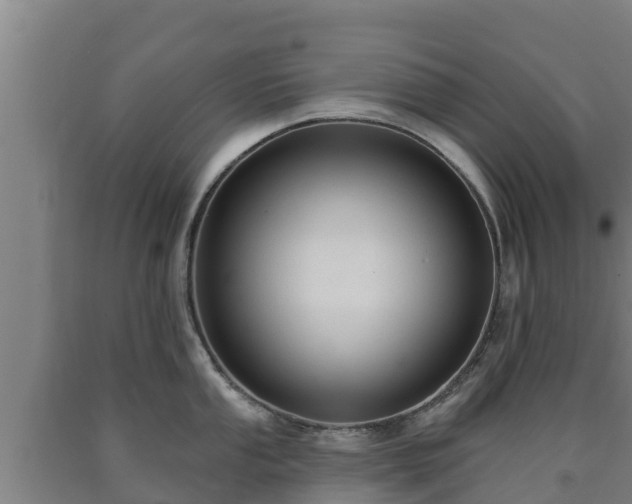 X0000090731053200707271359