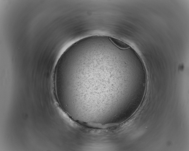 X0000090731056200707271359