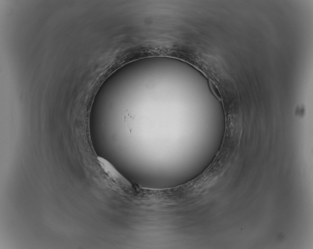 X0000090731057200707271358