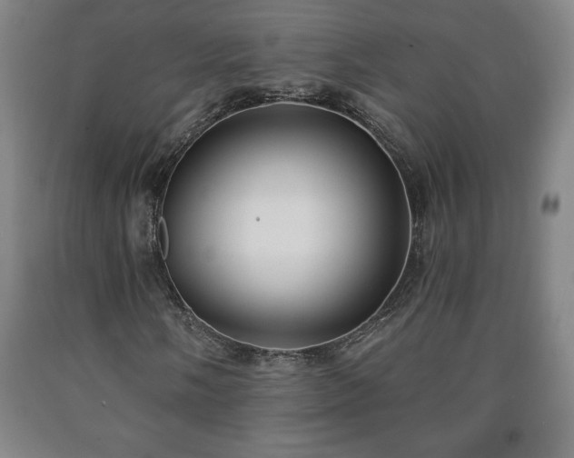 X0000090731058200707271358