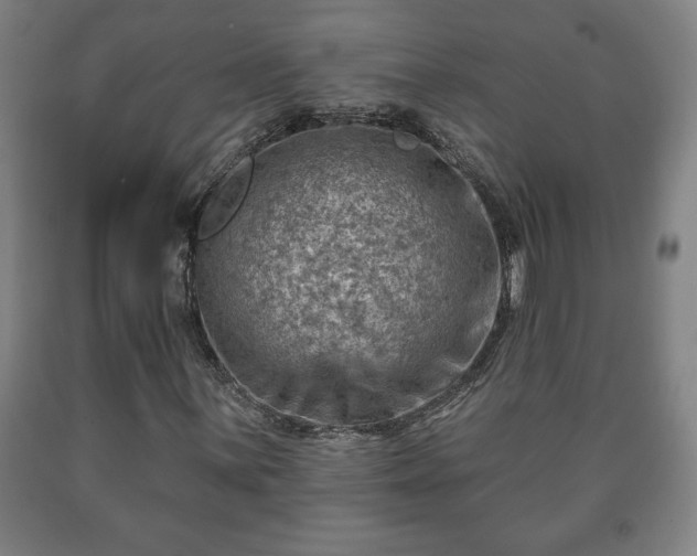 X0000090731059200707271358