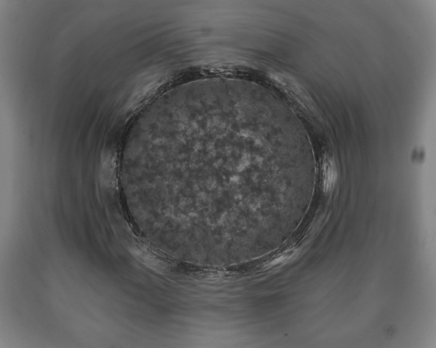 X0000090731060200707271358