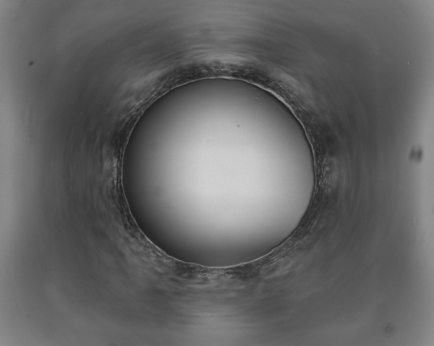 X0000090731061200707271358