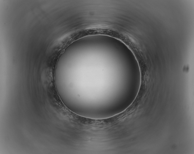 X0000090731062200707271358