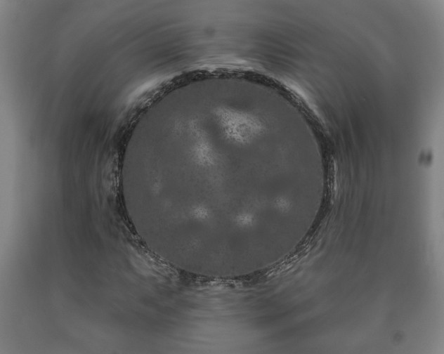 X0000090731063200707271358