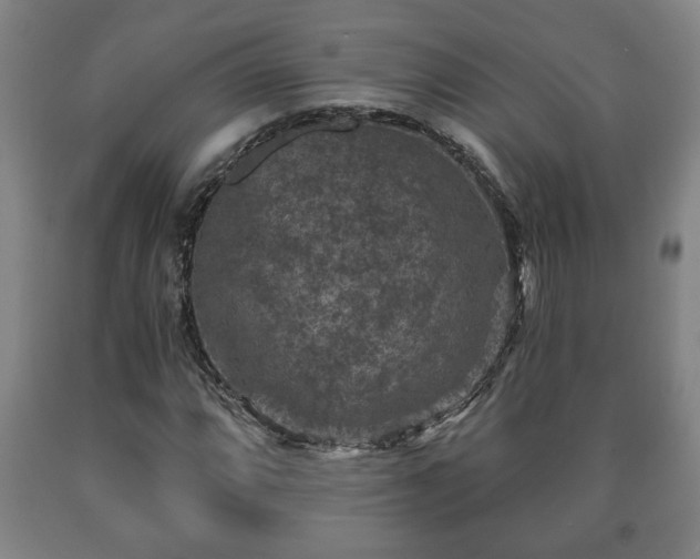 X0000090731064200707271358