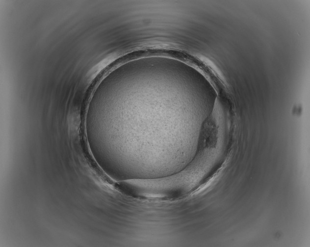 X0000090731065200707271358