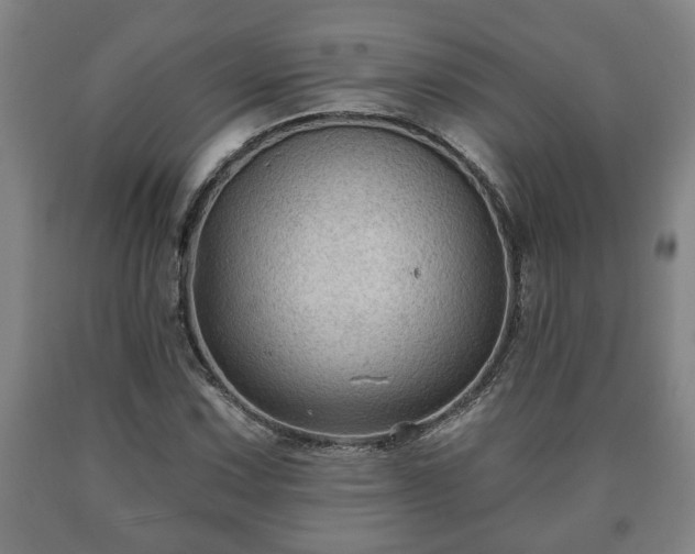 X0000090731067200707271358