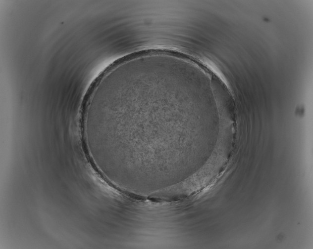 X0000090731068200707271358