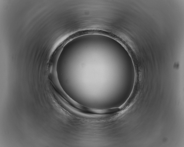 X0000090731069200707271358