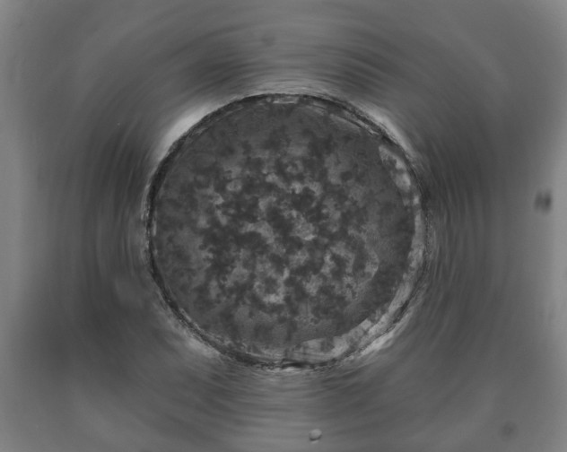 X0000090731071200707271358