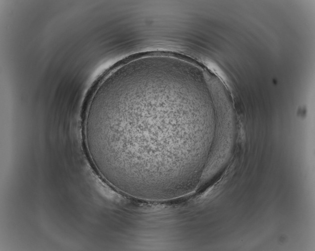 X0000090731072200707271358