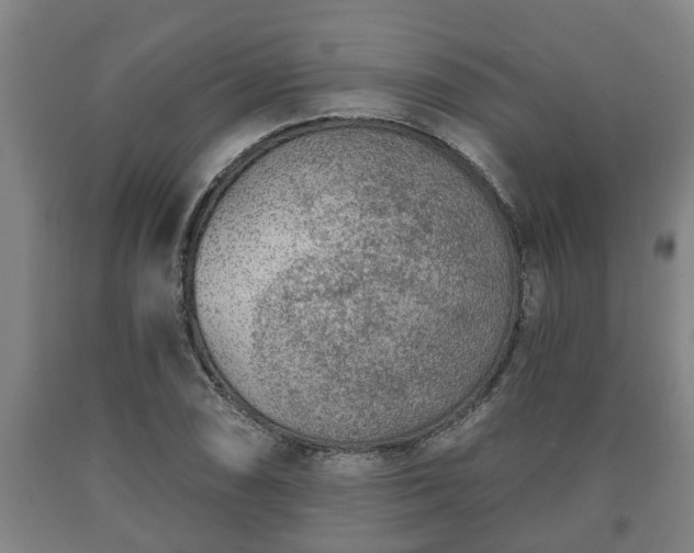 X0000090731074200707271358