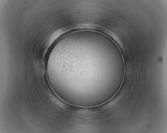 X0000090731075200707271358