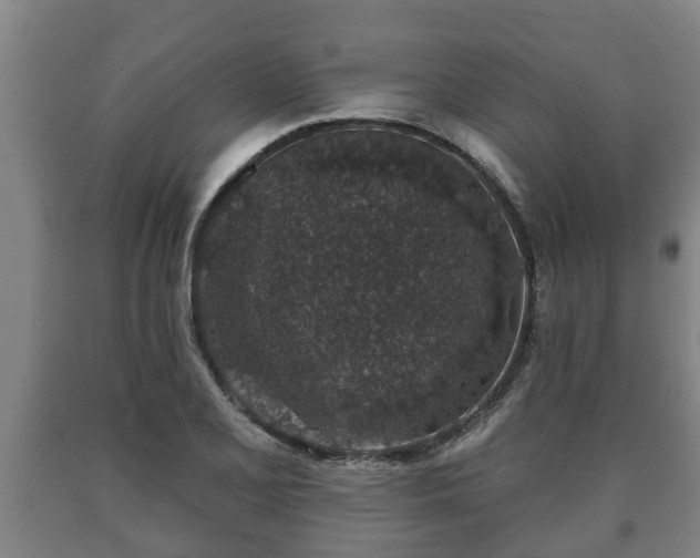 X0000090731077200707271358