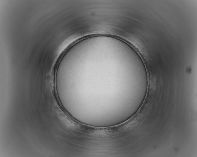 X0000090731078200707271358