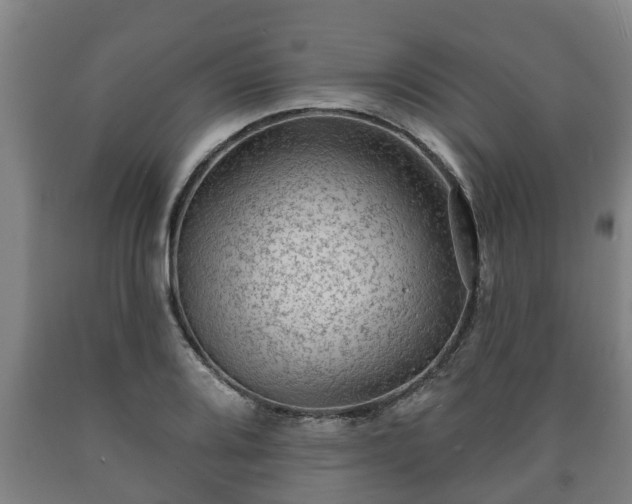 X0000090731080200707271358