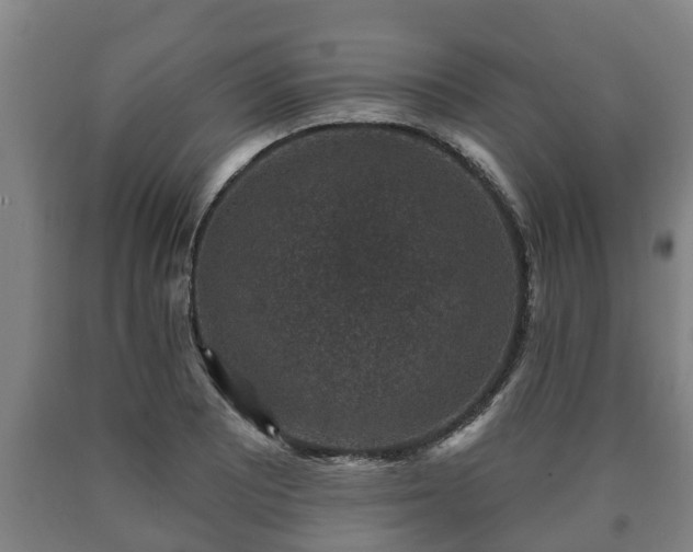 X0000090731081200707271358