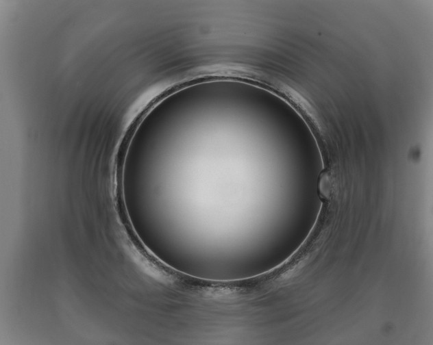 X0000090731082200707271358