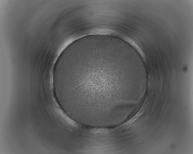 X0000090731083200707271358