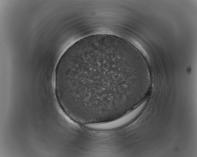 X0000090731084200707271358