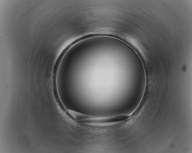 X0000090731085200707271358