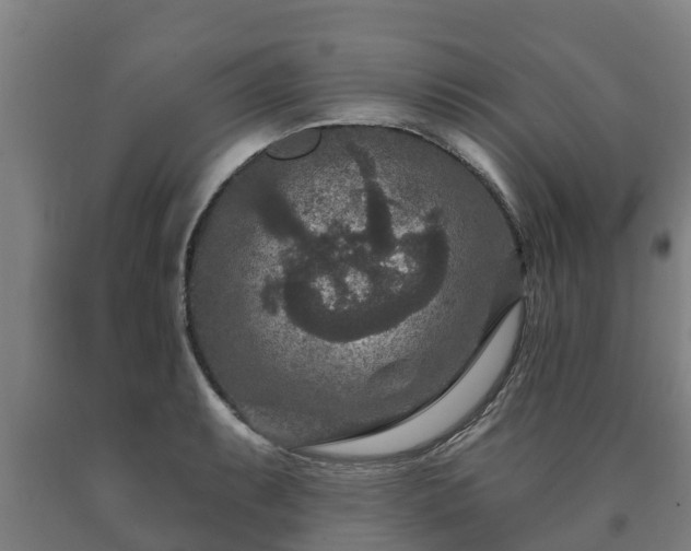 X0000090731087200707271358