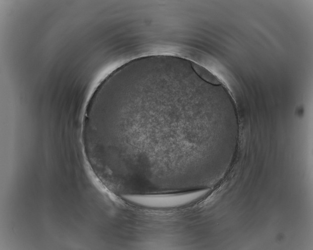 X0000090731088200707271358