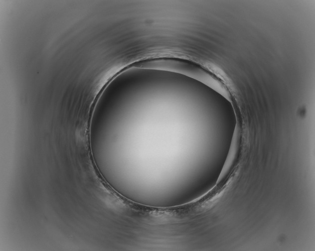 X0000090731089200707271358