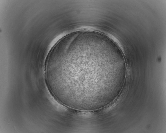 X0000090731090200707271358
