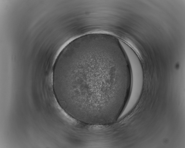 X0000090731092200707271358