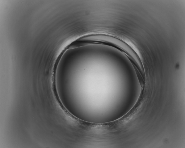 X0000090731093200707271358