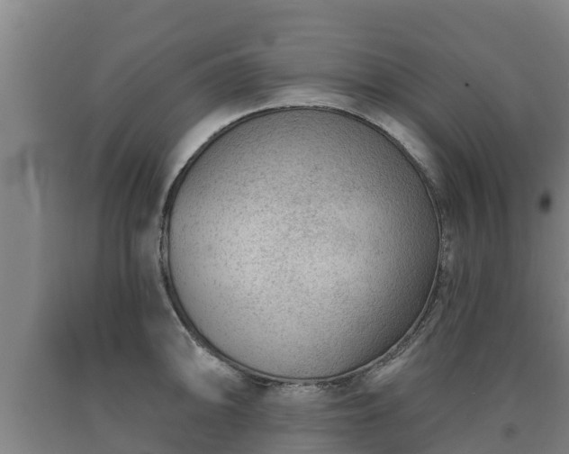 X0000090731094200707271358